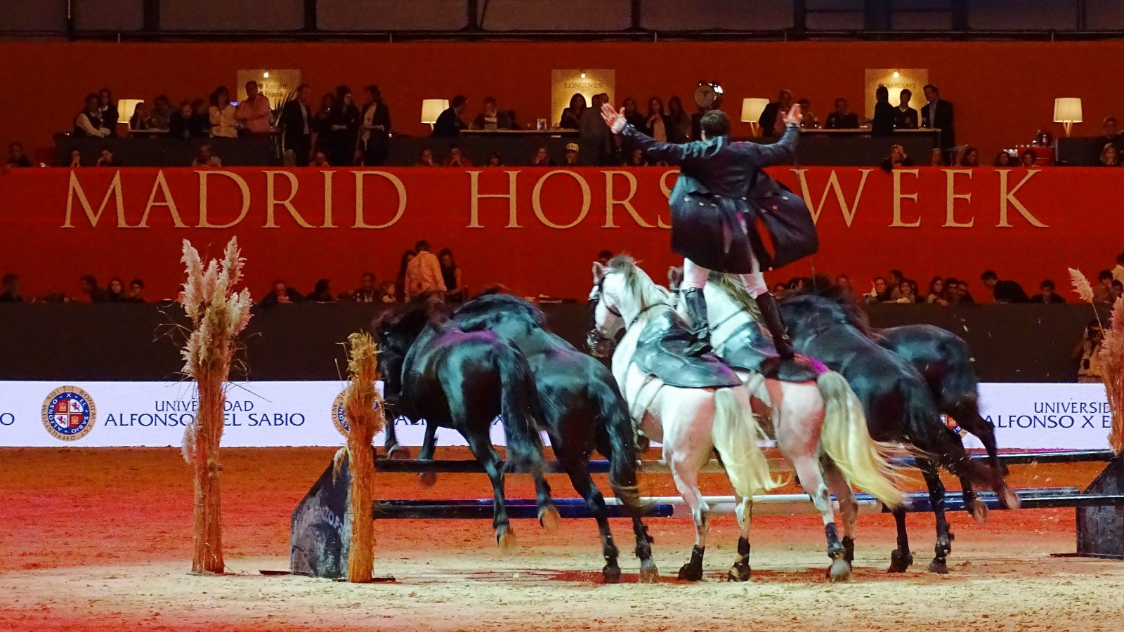 Madrid Horse Week 2019