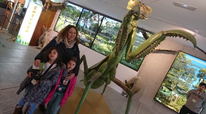 Insectpark. El mundo del bicho @J R Aguirre